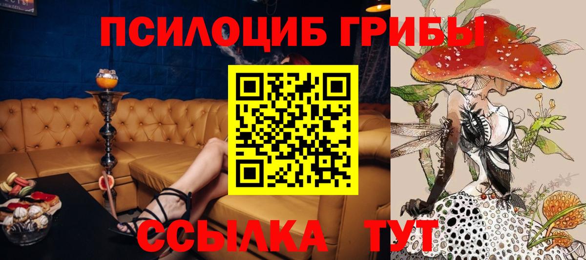 Галлюциногенные грибы прущие грибы Новосибирск